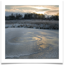ICE CIRCLES - Des Hawley
